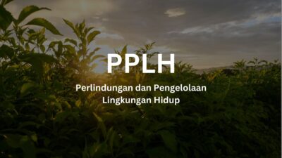 Ilustrasi PPLH Perlindungan dan Pengelolaan Lingkungan Hidup