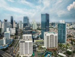 Jenis-Jenis Perseroan Terbatas (PT) di Indonesia