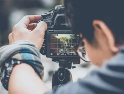 Berikut Ide Bisnis Yang Cocok Bagi Usaha Perseorangan!