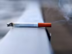Jerat Hukum Pengedar Rokok Ilegal : Sanksi Dan Hukumnya