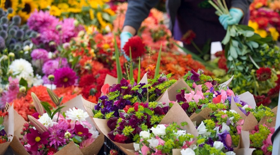 Ilustrasi Bisnis Florist