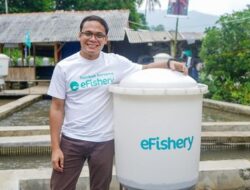 Bedanya Likuidasi dan Restrukturisasi eFishery, Ini Dampaknya Pada Investor