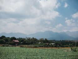 Tanah Terlantar dan Hak yang Terancam, Berikut Upaya Hukum Bila Negara Menetapkan Tanah Anda Sebagai Tanah Terlantar